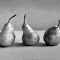 More than just a pear - Charcoal on paper 30x40cm SOLD